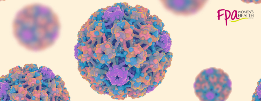 HPV virus (2).png